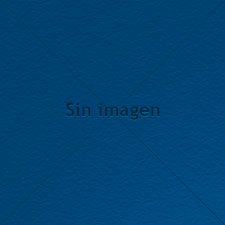 Diseño del logo de mundocanon.com